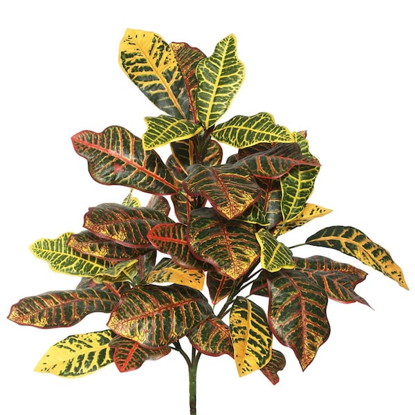Dare2Decor 34 in. Cronton Plant Leaves - Green DA1639430 - main